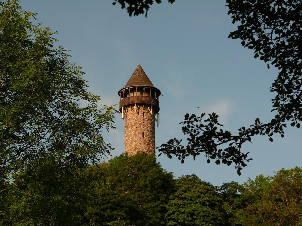 SensweilerHaus Kolmesfeldアパートメント エクステリア 写真